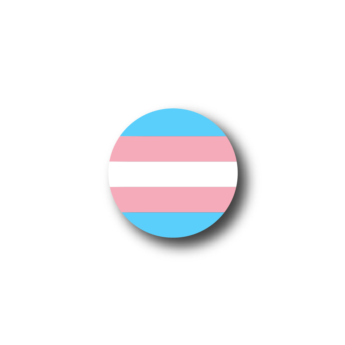 LGBTQ Transgender Flag